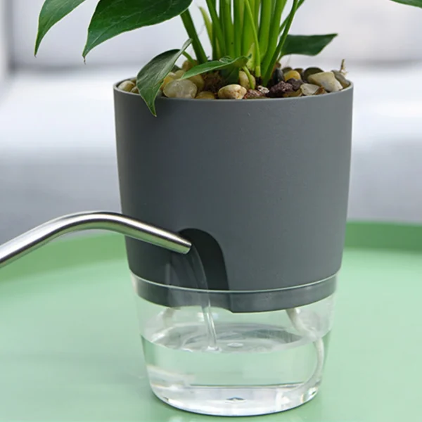 Self Watering Planters